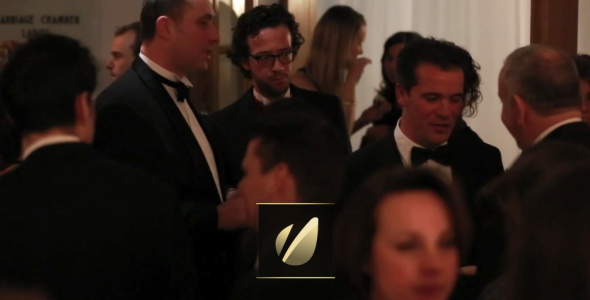 Luxury / Corporate - Lower Thirds Package - 5